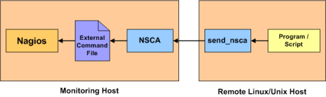 NSCA插件